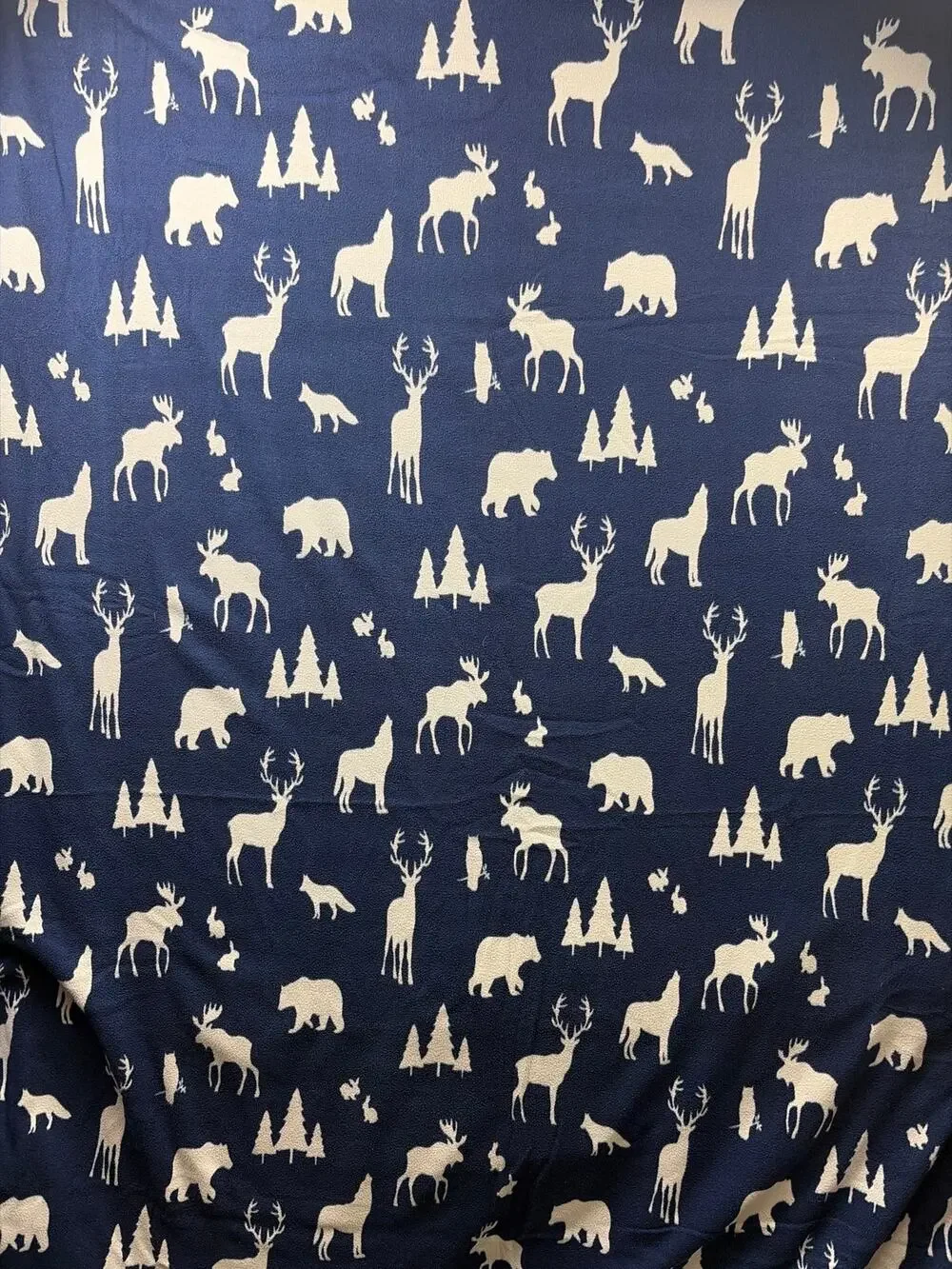 Cannon, Twin, Blanket, Fleece, Woodland Animals, Forest Creatures